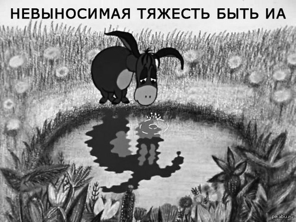 1373882078_205241803.jpg