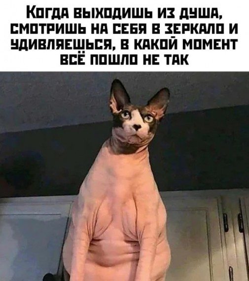 13836492.jpg