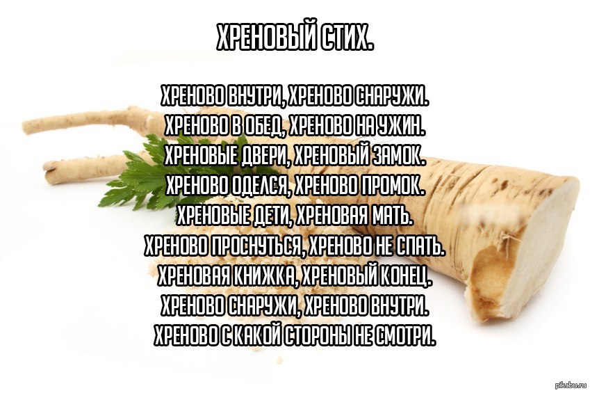 1385034172_1105988651.jpg