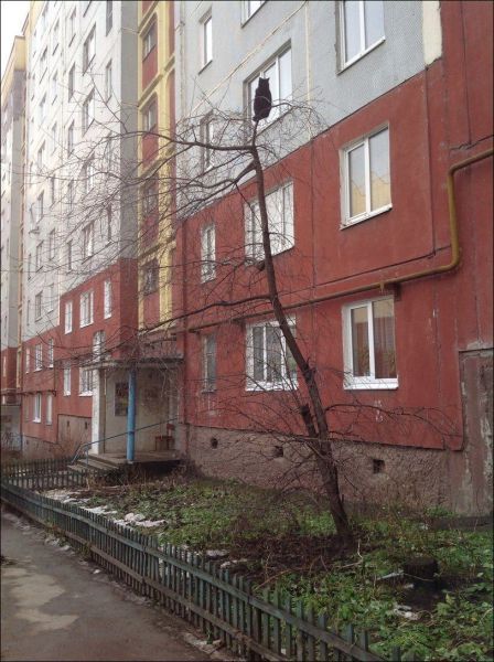 1393237546_kartinki-7.jpg