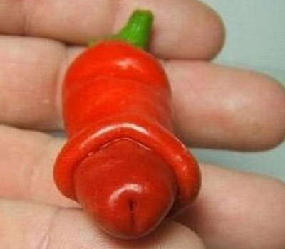 14-pepper.jpg
