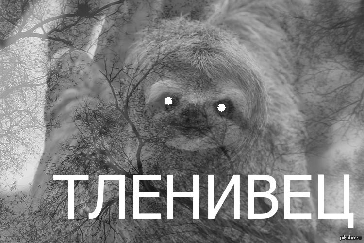 1407782757_1012604743.jpg