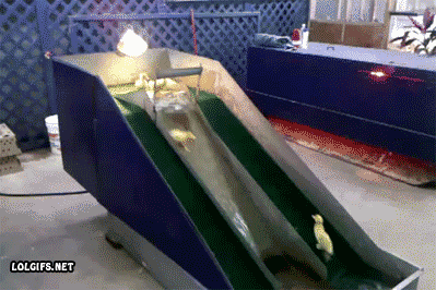 1415976589_019_gifki.gif
