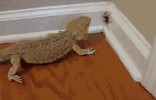 1415976786_041_gifki.gif
