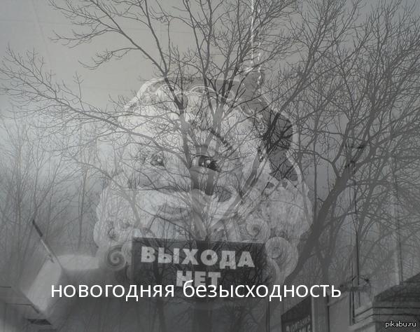 1419595611_591449294.jpg