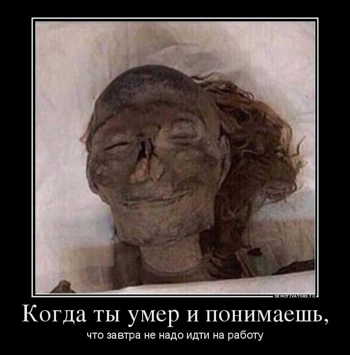1427356591_demki-3.jpg