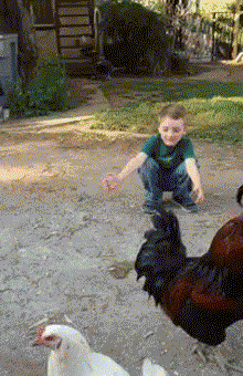 1432389725_255228071.gif