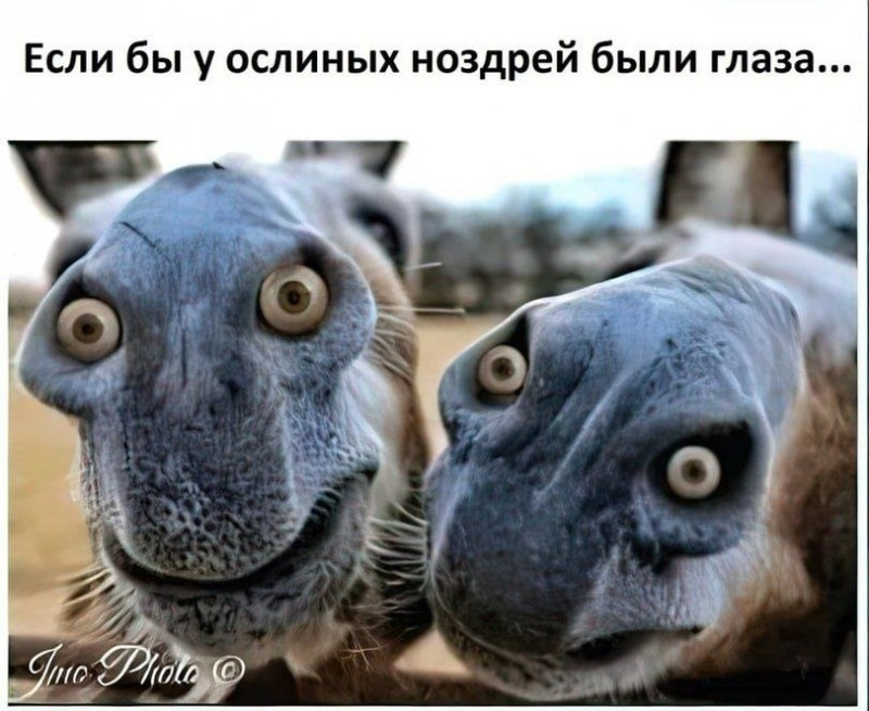 146.jpg
