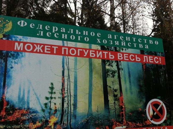 1469954673_podborka_vecher_50.jpg