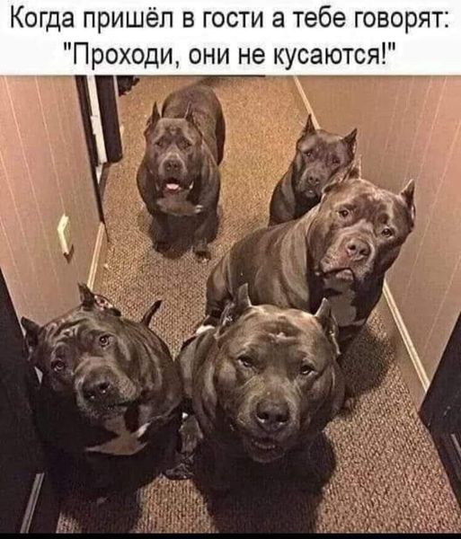 147425514_434185311240983_1410768327530227169_n.jpg