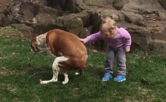 1474388864_deti-zveri105.gif
