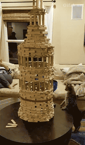 1476986919126720300.gif
