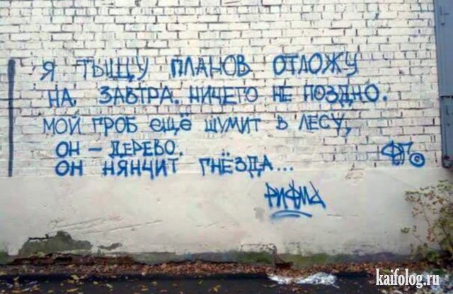 1479979487_050.jpg