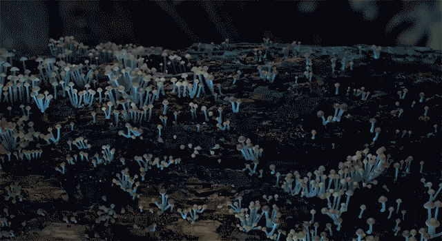 1480242668_640-670.gif