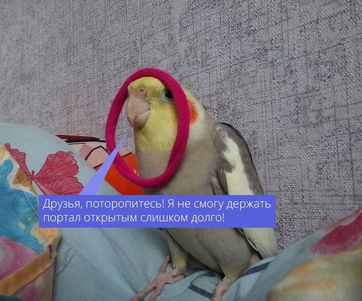 150.jpg