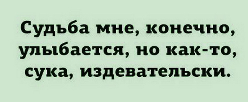 1507023481-podborka-prikolnyh-citat-xaxa-net-ru-6.jpg