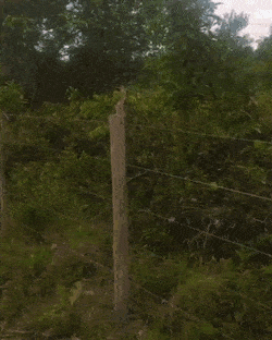 1511622238123058129.gif