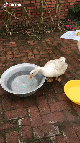 1536377889113838130.gif