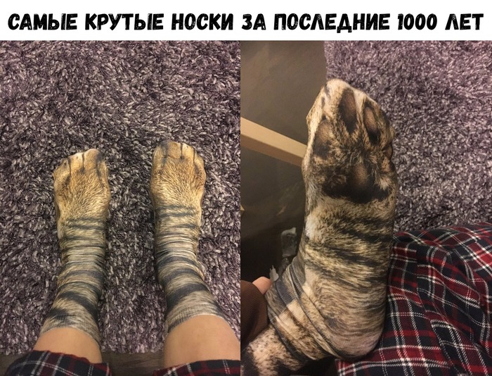 1548096496190128736.jpg