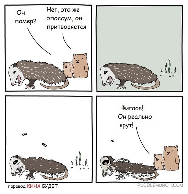1556126791111836684.jpg