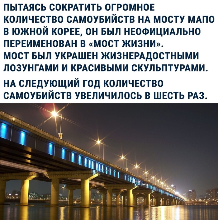 1560821211111785295.jpg