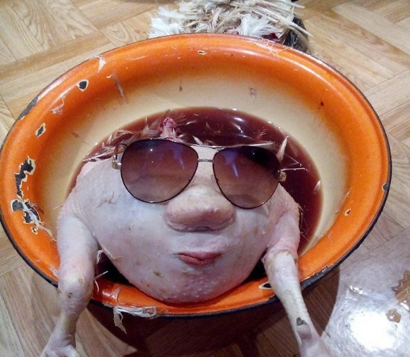 1574750493_Image 004.jpg