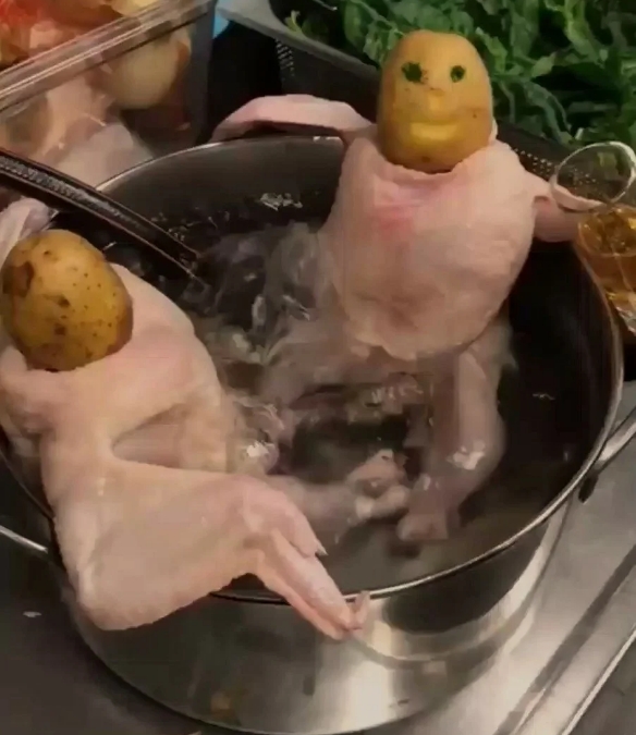 1574750501_Image 005.jpg