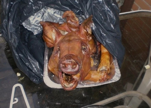 1574750554_Image 008.jpg