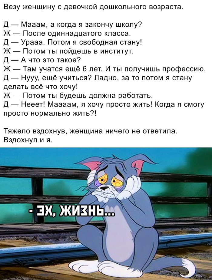 1609334155187671422.jpg