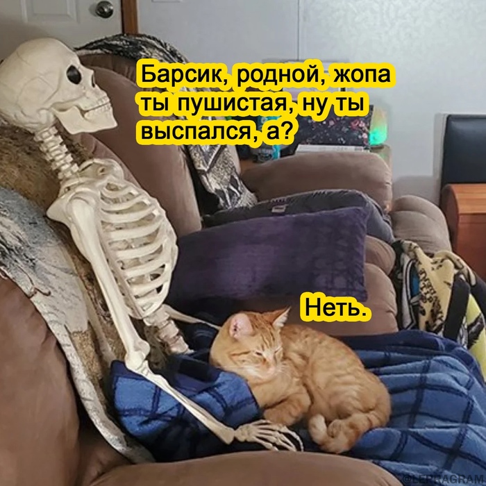 1613848776114399583.jpg