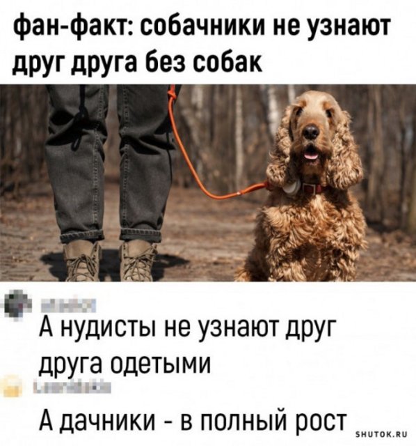 1653812193.jpg
