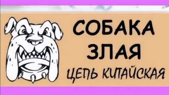 1669990609191356121.jpg