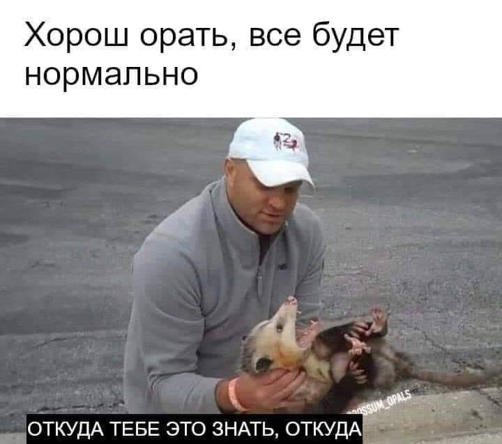 167.jpg