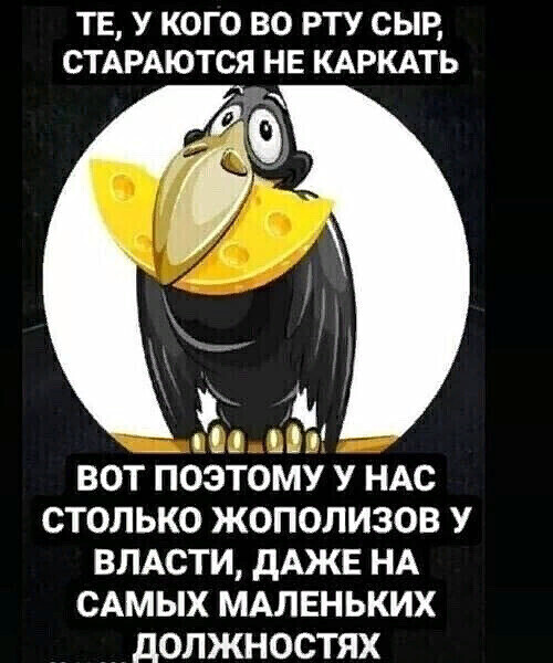 168.jpg