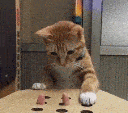 16a.gif