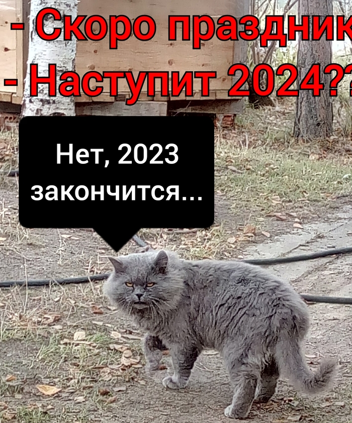 1703358589184110342.jpg