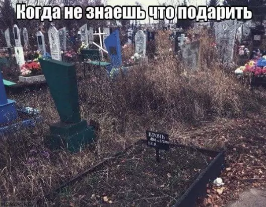 17538176.png