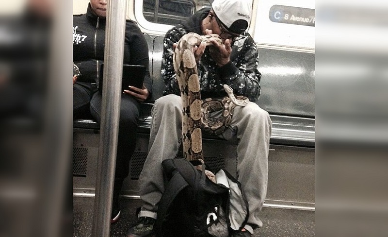 18metro.jpg