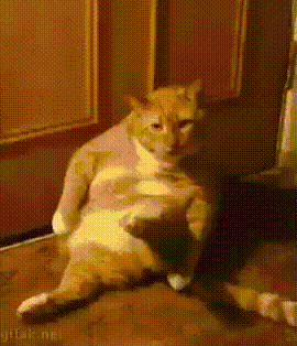 1d5c31130859.gif