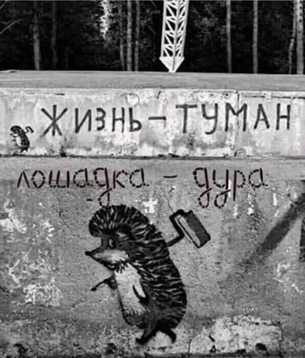 1IC6mCZEHVk.jpg