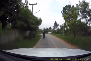 2 (3).gif