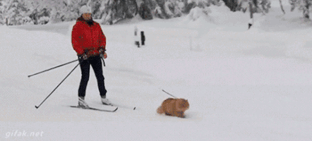 200-50.gif