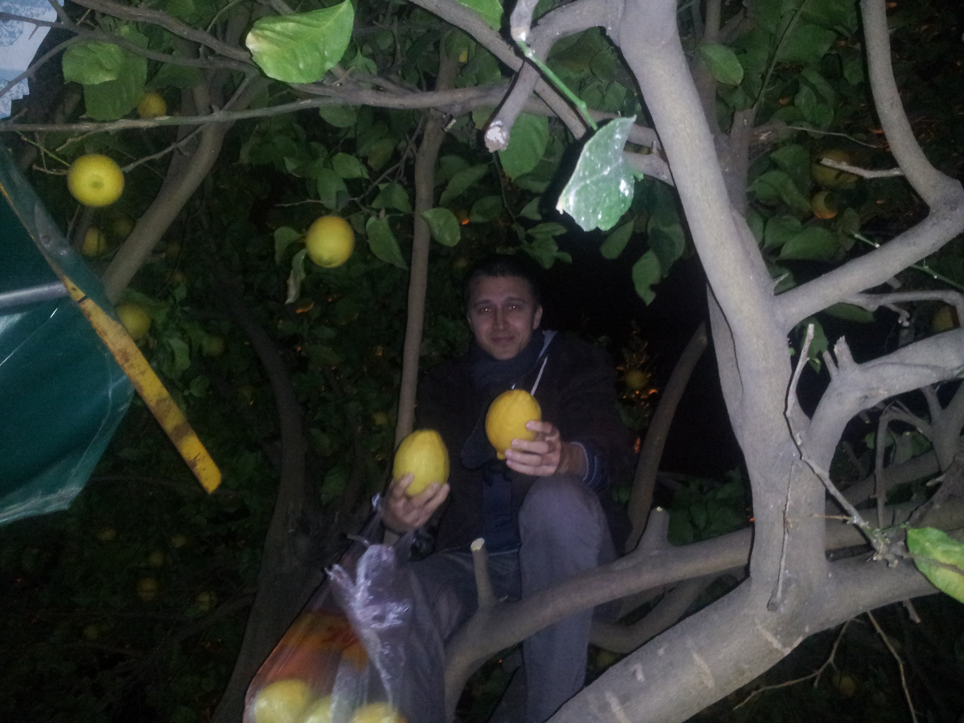 20130126_214424.jpg