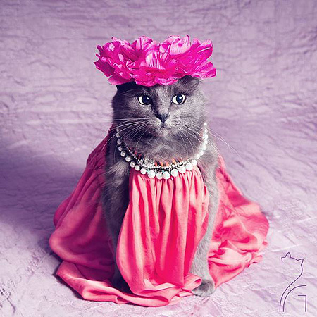 20160621_pussy_3.jpg