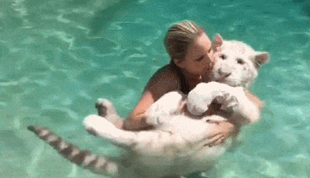 211180_190993b4_59db651308557dbf4a305f5942a4f371_kisa.gif