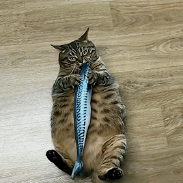 2129760_300.gif