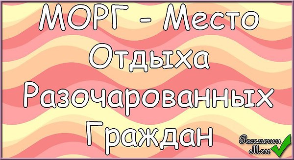 2268202716.jpg