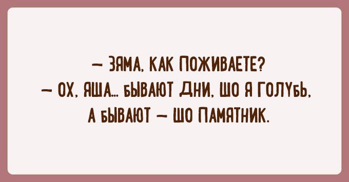 248973_original.jpg
