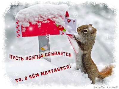 25b6ecf5-c12c-448b-a636-065c1d42e0fd.jpg