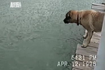 26ef99572b5046f7e52f1209708.gif